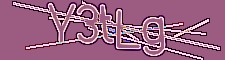 anibot image